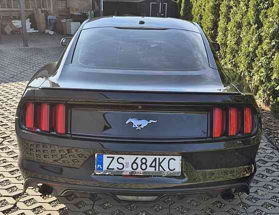 Ford Mustang Performance 2.3 Ecoboost 325KM - Stan Bardzo Dobry Warszawa