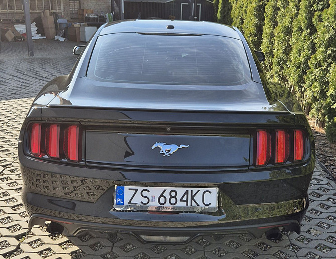 Ford Mustang Performance 2.3 Ecoboost 325KM - Stan Bardzo Dobry Warszawa - photo 4
